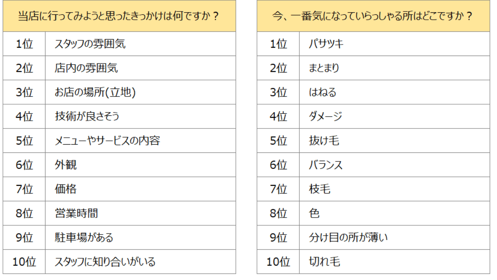 来店動機ランキング